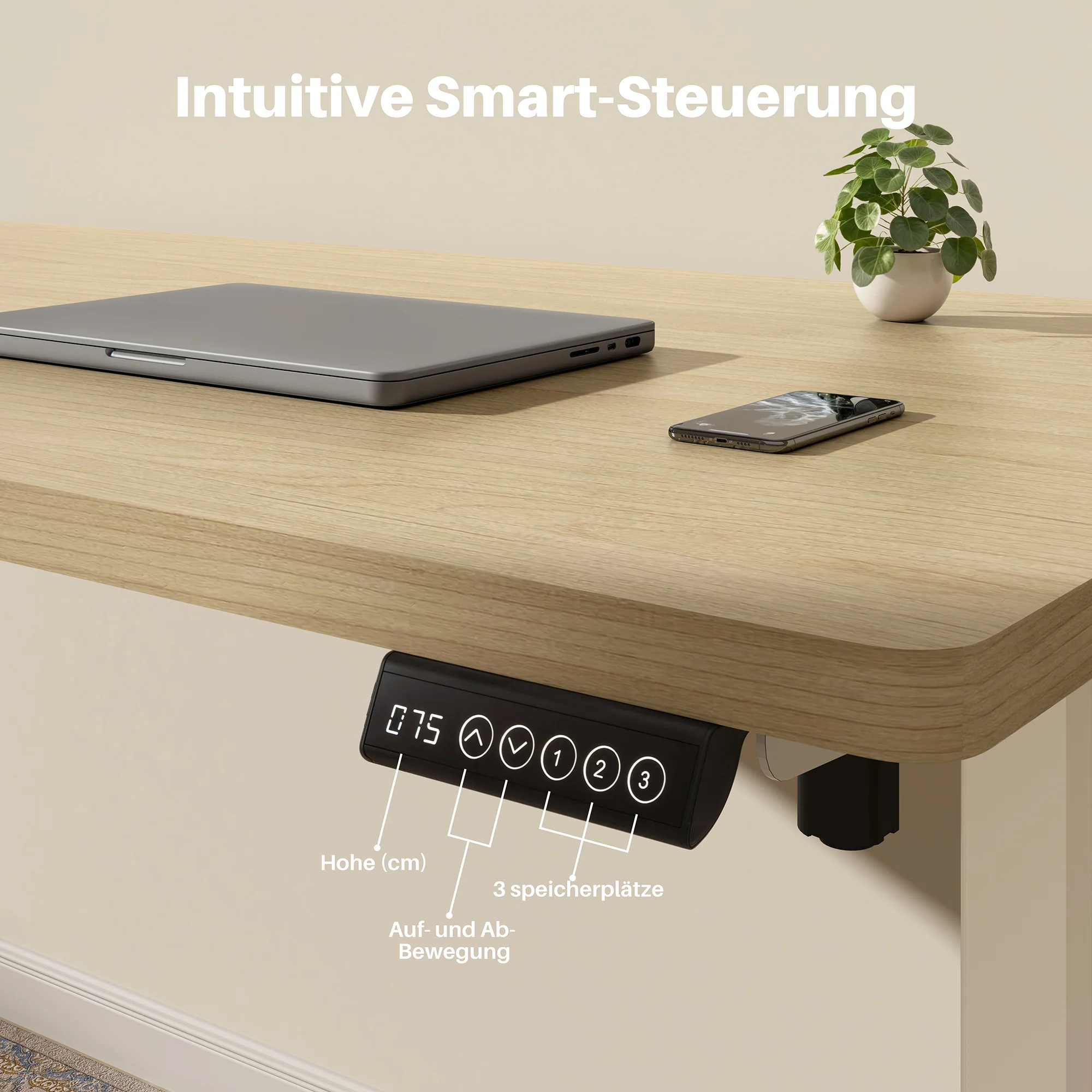 Basic Höhenverstellbarer Schreibtisch mit Entire Board Desktop - Image 6